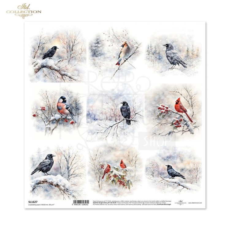 Papier do scrapbookingu 30x30 Zimowe ptaki SL1627 ITD Collection