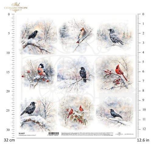 Papier do scrapbookingu 30x30 Zimowe ptaki SL1627 ITD Collection