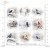 Papier do scrapbookingu 30x30 Zimowe ptaki SL1627 ITD Collection
