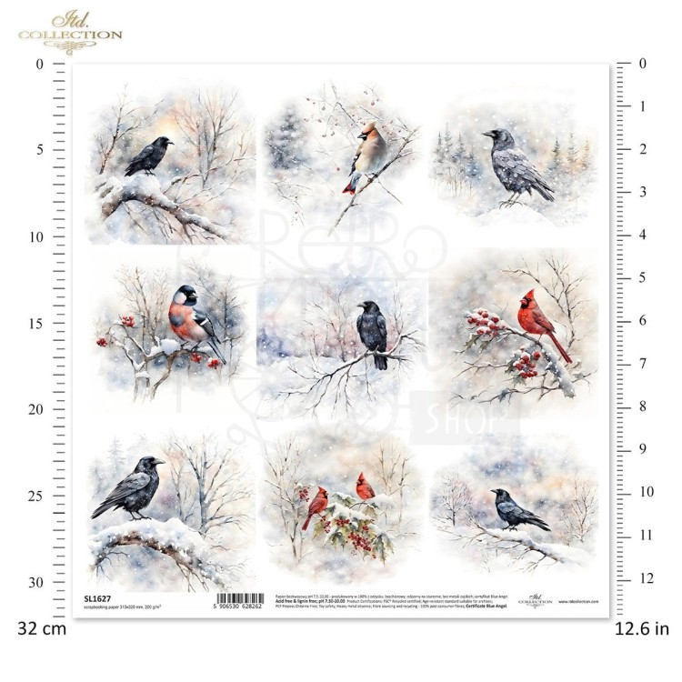 Papier do scrapbookingu 30x30 Zimowe ptaki SL1627 ITD Collection