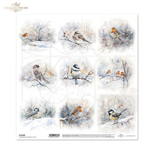 Papier do scrapbookingu 30x30 Zimowe ptaki SL1628 ITD Collection
