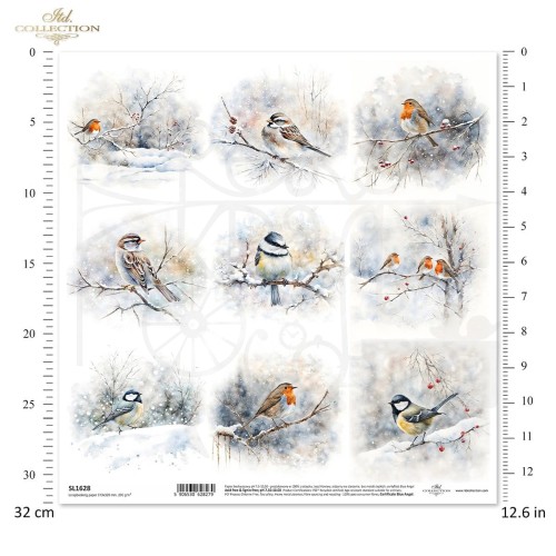 Papier do scrapbookingu 30x30 Zimowe ptaki SL1628 ITD Collection