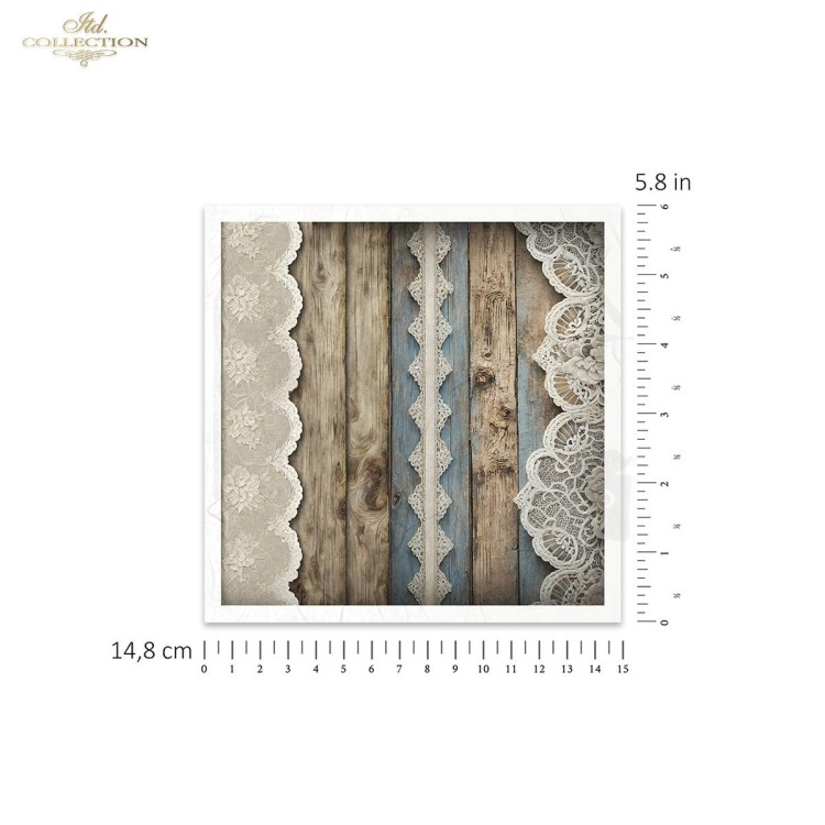 RSM146 3.jpg
