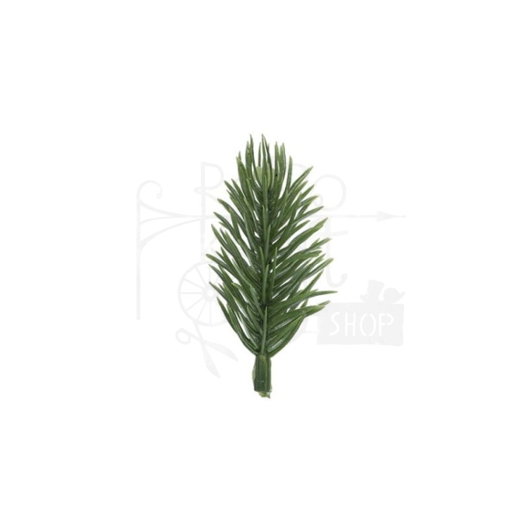 Gałązki jodły ozdobnej 6cm 5szt