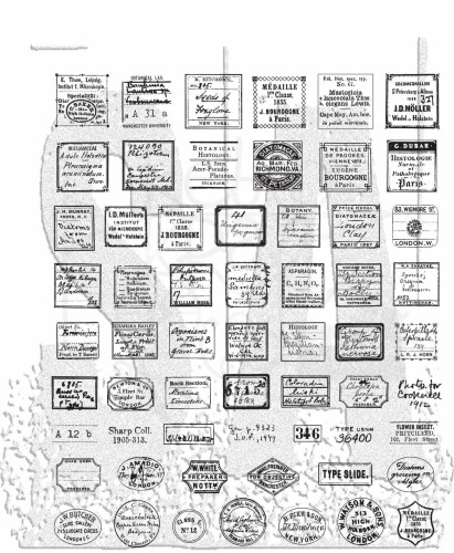 Stempel gumowy kauczukowy Curator CMS493 Tim Holtz Stampers Anonymous