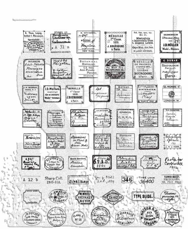 Stempel gumowy kauczukowy Curator CMS493 Tim Holtz Stampers Anonymous