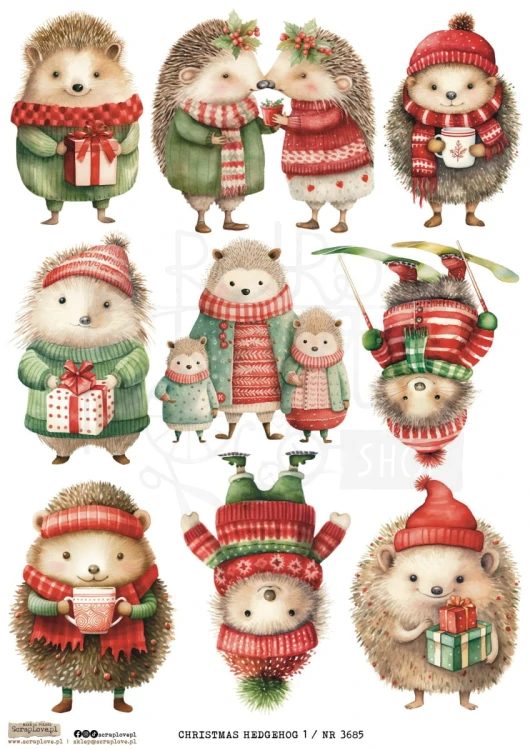 Papier ryżowy do decoupage A4 Christmas Hedgehog 1 3685 ScrapLove