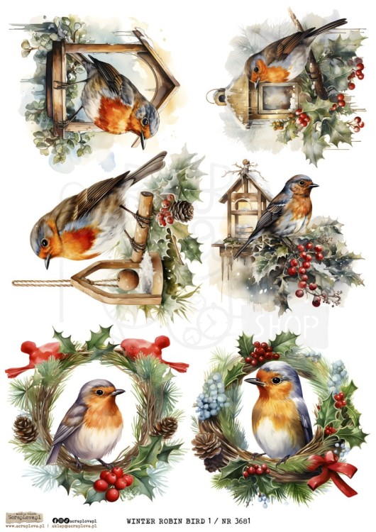 Papier ryżowy do decoupage A4 Winter Robin Bird 1 3681 ScrapLove
