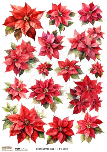 Papier ryżowy do decoupage A4 Poinsettia Red 1 3668 ScrapLove