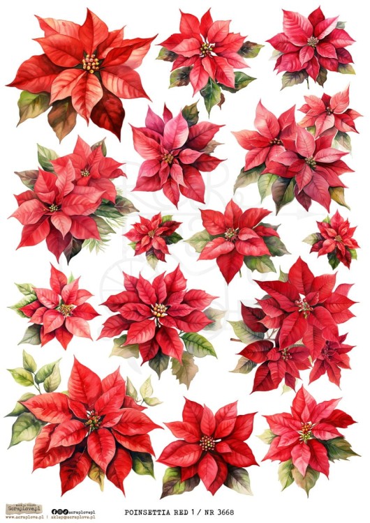 Papier ryżowy do decoupage A4 Poinsettia Red 1 3668 ScrapLove