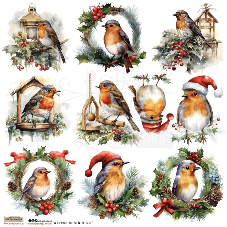 Naklejki do scrapbookingu i art journalingu Winter Robin Bird 1 ScrapLove