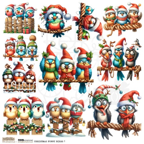 Naklejki do scrapbookingu i art journalingu Christmas Funny Birds 1 ScrapLove
