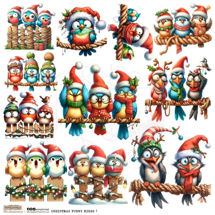 Naklejki do scrapbookingu i art journalingu Christmas Funny Birds 1 ScrapLove
