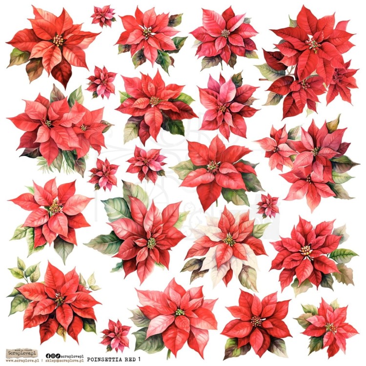 Naklejki do scrapbookingu i art journalingu Poinsettia Red 1 ScrapLove
