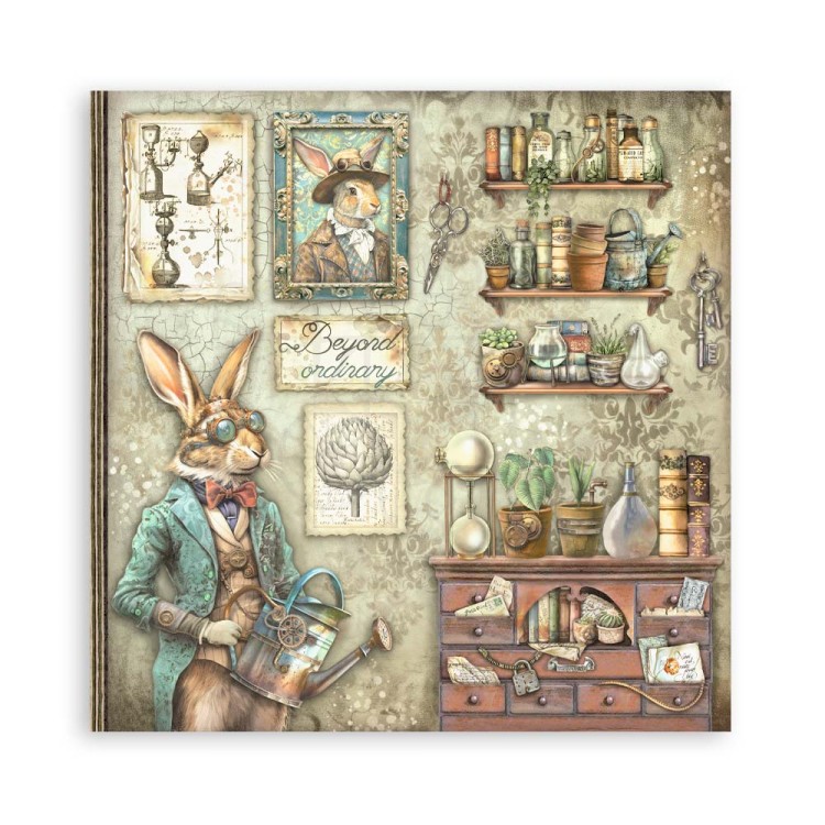 Zestaw papierów jednostronnych do scrapbookingu 20x20 Alterego SBBSXB06 Stamperia