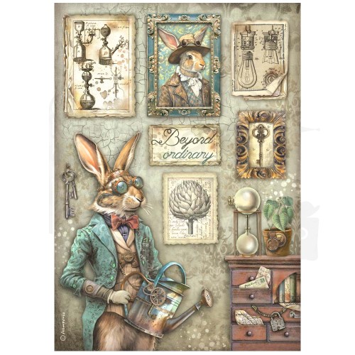Papier ryżowy do decoupage A4 Alterego Królik DFSA4957 Stamperia