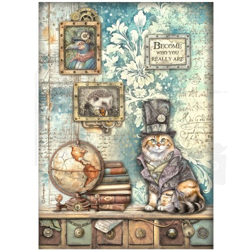 Papier ryżowy do decoupage A4 Alterego Kot DFSA4955 Stamperia