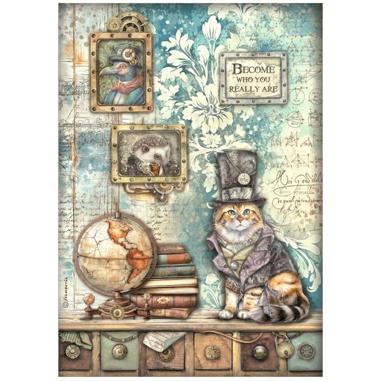 Papier ryżowy do decoupage A4 Alterego Kot DFSA4955 Stamperia