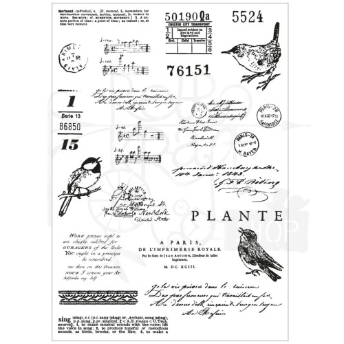 Zestaw wykrojników i stempli Bird Song by 49 and Market 28 elementów 666704 Sizzix