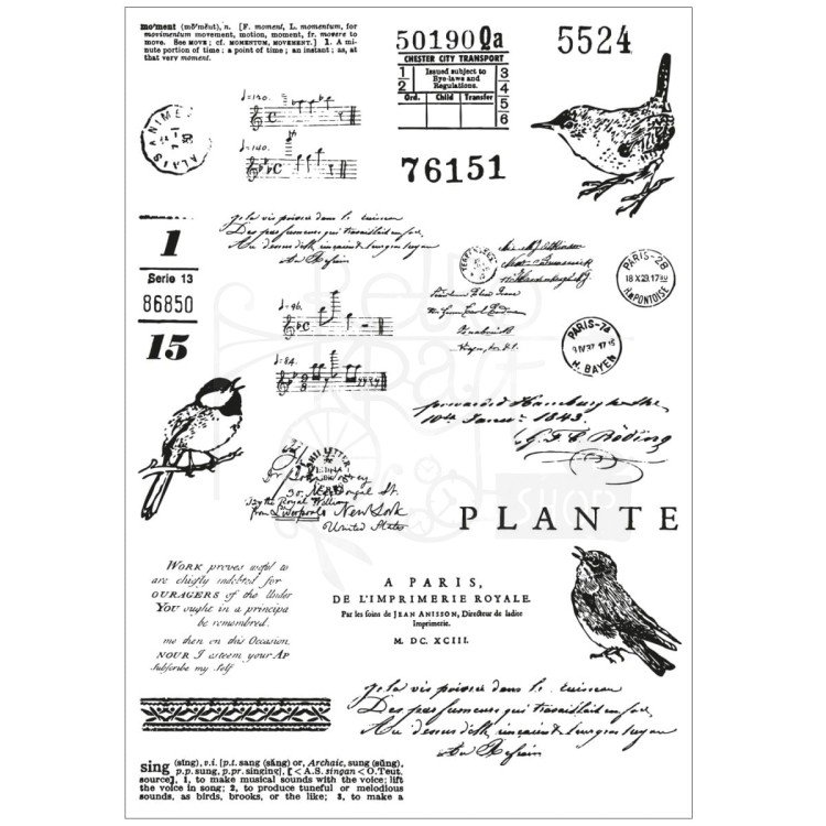 Zestaw wykrojników i stempli Bird Song by 49 and Market 28 elementów 666704 Sizzix