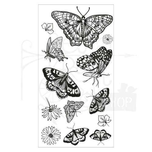 Stempel akrylowy Nature Butterflies by Lisa JonesMotyle 13 elementów 666642 Sizzix