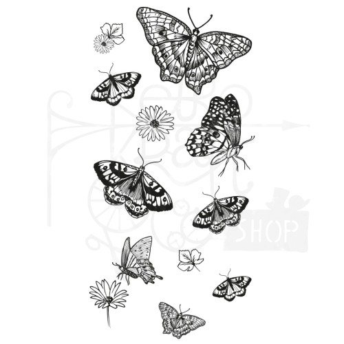 Stempel akrylowy Nature Butterflies by Lisa JonesMotyle 13 elementów 666642 Sizzix