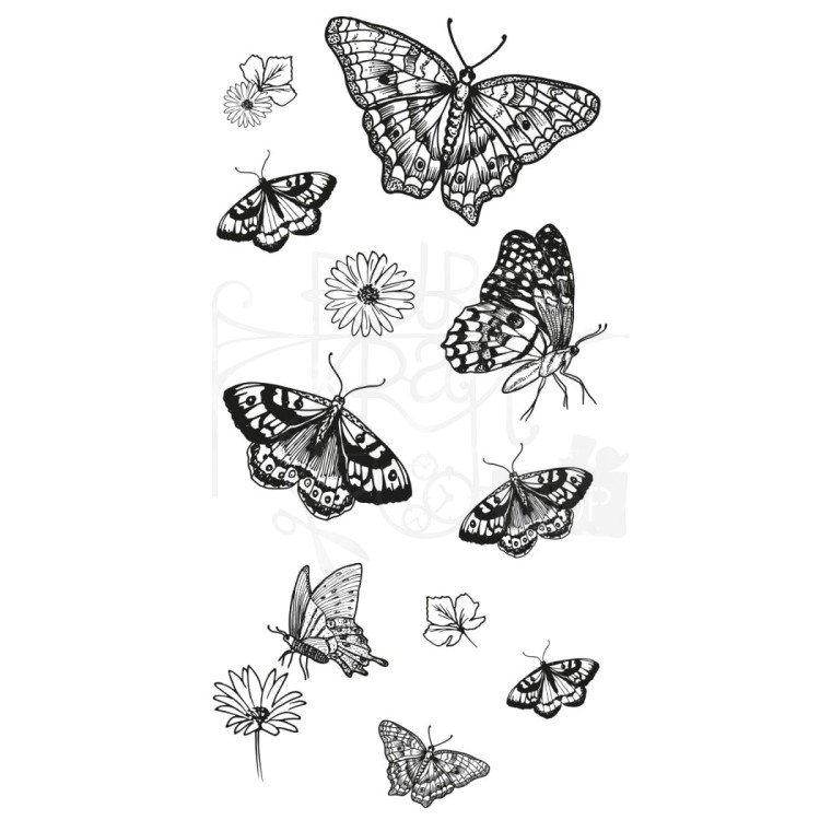 Stempel akrylowy Nature Butterflies by Lisa JonesMotyle 13 elementów 666642 Sizzix