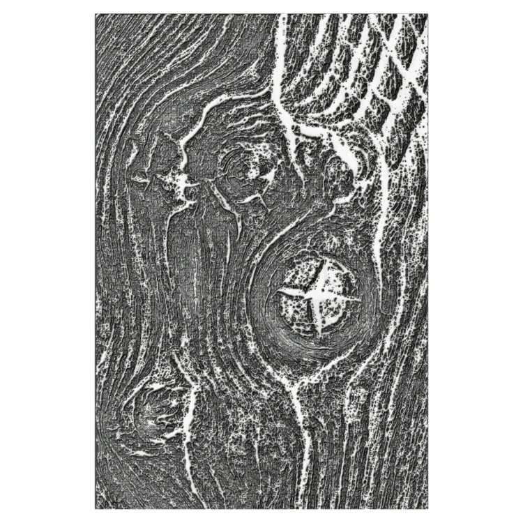 Folder do embossingu Woodgrain by Tim Holtz 666297 Sizzix