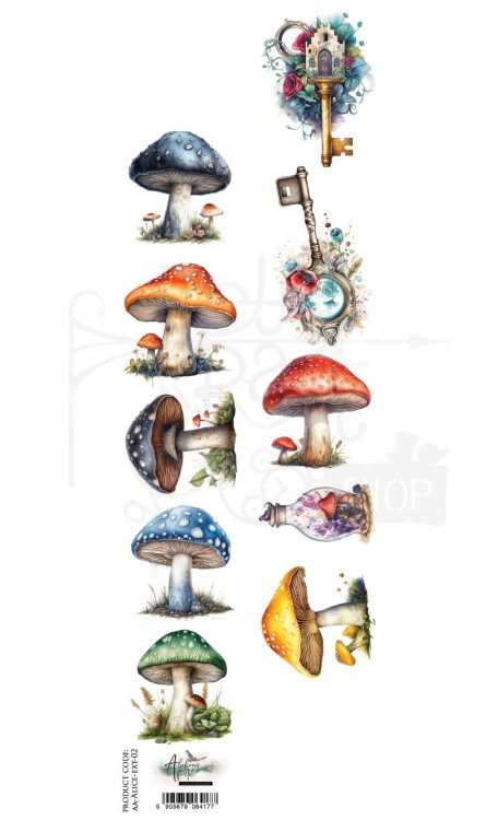 Pasek 5x30 Alice Grzyby AA-ALICE-ext-02 Alchemy of Art