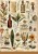 Zestaw papier ryżowych A5 Cabinet of Curiosities 8 sztuk CBRS003 Ciao Bella