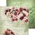 Zestaw papierów do scrapbookingu 20x20 Savor The Moment CC-C70-STM-07 Craft O'Clock