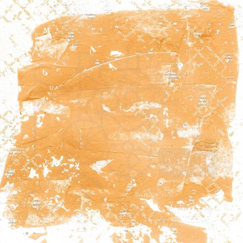 Papier do scrapbookingu 30x30 Spectrum Gardenia Solid - Orange SG-23930 49 and Market