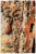 Farba Rusty Viva Decor Rusty