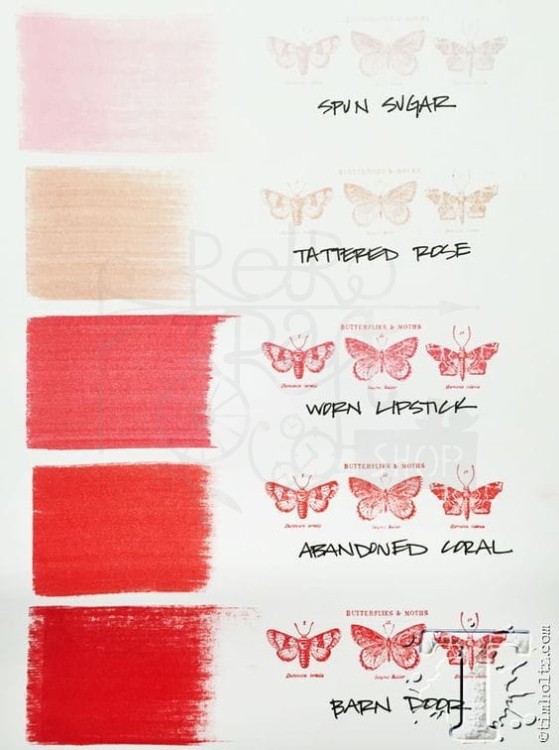 Tusz Tim Holtz Distress Mini Ink Pad Abandoned Coral TDP46769 Ranger
