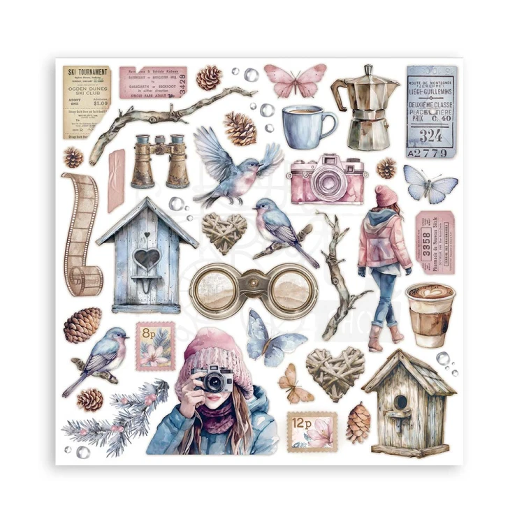 Zestaw papierów do scrapbookingu 20x20 Dewdrops SBBS119 Stamperia