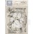 Stempel akrylowy 14x18cm Dewdrops Ptasie trele WTK206 Stamperia