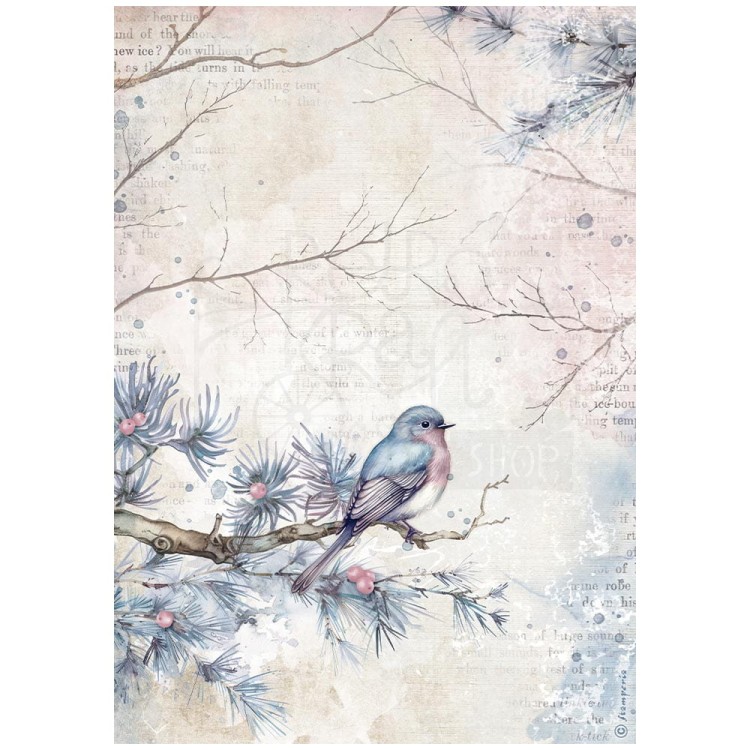Papier ryżowy do decoupage A4 Dewdrops Ptaszki DFSA4973 Stamperia