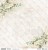 Papier do scrapbookingu 30x30 White Roses 01/02 ScrapAndMe