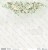 Papier do scrapbookingu 30x30 White Roses 05/06 ScrapAndMe