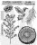 Stempel gumowy kauczukowy Forest Floor 2 CMS497 Tim Holtz Stampers Anonymous