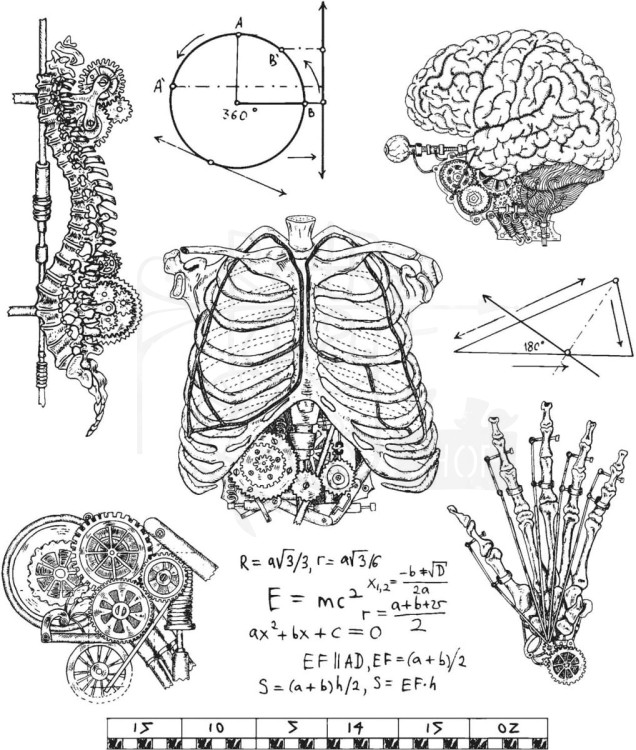 Stempel gumowy kauczukowy Weird Science CMS379 Tim Holtz Stampers Anonymous