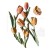 Foremka silikonowa A5 Art of Travelling Tulipany KACMA550 Stamperia