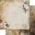 Zestaw papierów do scrapbookingu 30x30 Natural Beauty AA-NB-07 Alchemy of Art