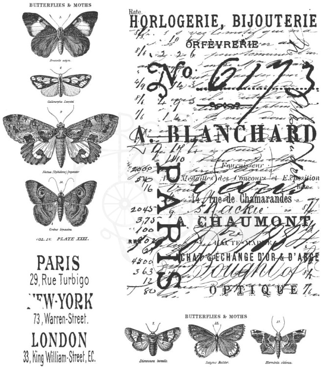 Stempel gumowy kauczukowy Papillon CMS106 Tim Holtz Stampers Anonymous