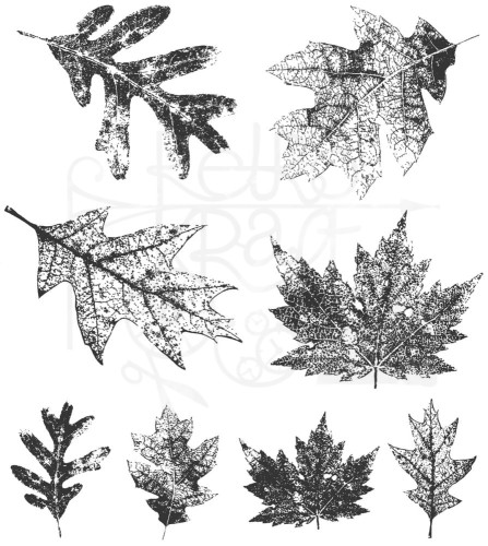 Stempel gumowy kauczukowy Falling Leaves CMS097 Tim Holtz Stampers Anonymous