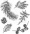Stempel gumowy kauczukowy Forest Floor CMS422 Tim Holtz Stampers Anonymous