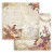 Zestaw papierów do scrapbookingu 15x15 Our Way SBBXS19 Stamperia