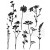Stempel gumowy kauczukowy Wildflowers CMS253 Tim Holtz Stampers Anonymous