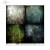 Papier do scrapbookingu 30x30 Black &amp; Color SL1671 ITD Collection