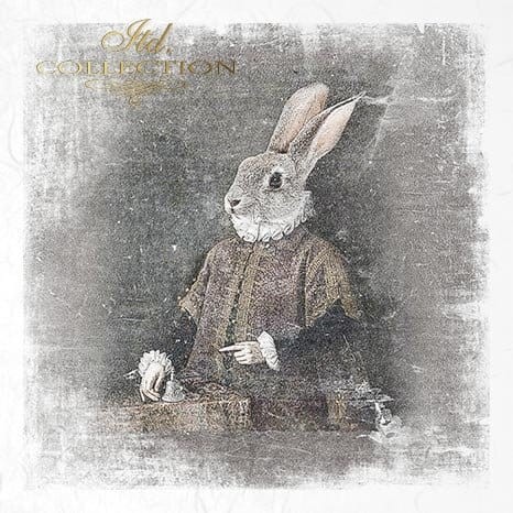 Zestaw papierów ryżowych do decoupage 14.8x14.8 Zwierzęta retro w strojach RSM031 ITD Collection